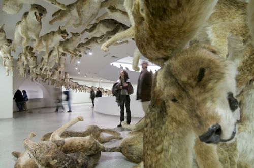 展览作品将分布在美术馆的一层空间,包括蔡国强2006年的作品《撞墙