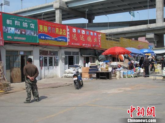 为有效防控h7n9禽流感疫情,乌鲁木齐唯一的鸟市华凌鸟市所有店铺已经