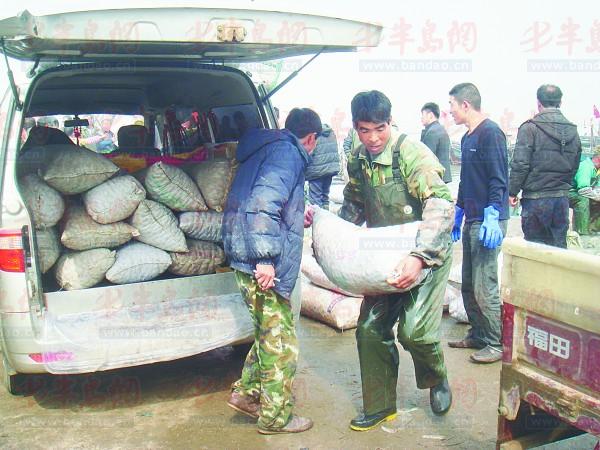 五一吃什么海鲜肥_云什么海鲜_海鲜披萨