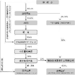 2亿定增募资对象藏猫腻(图)