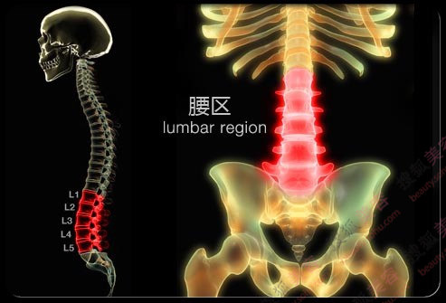 疼痛缠上你的腰 4个妙招缓解腰肌劳损