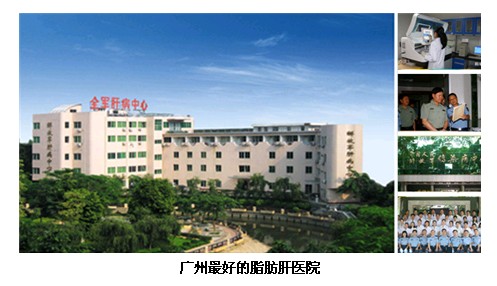广州脂 肪 肝医院(图)-中国学网-中国IT综合门户