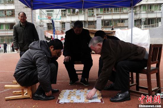 4月23日，地震灾区四川雅安市宝兴县一小学临时安置点内，几位老人在学校操场防雨棚下淡定下象棋。中新社发 陈超 摄