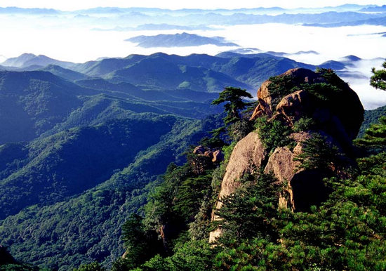 鞍山千山旅游有哪些值得去的中央 (鞍山千山旅游集团领导班子)