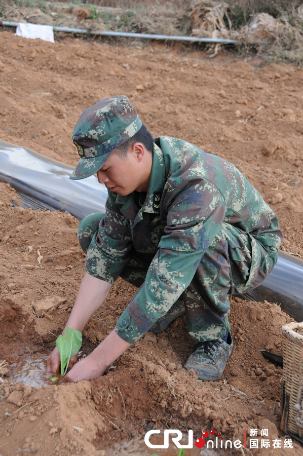 二炮官兵积极支援云南抗旱救灾 挽回经济损失百万元(高清组图)