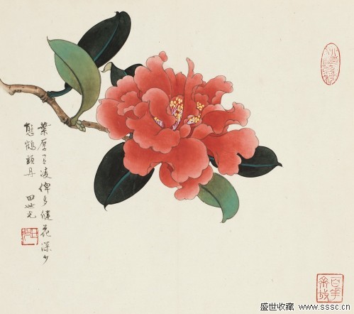  ɽ軨