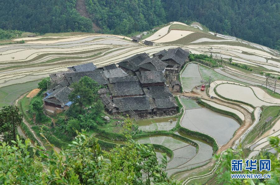 贵州月亮山梯田(组图)