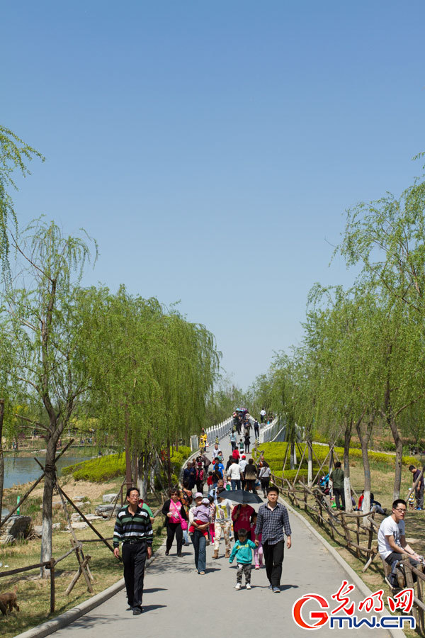 4月30日,游客在北京市大兴区南海子郊野公园休闲.