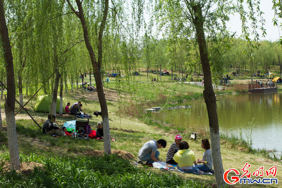 4月30日,游客在北京市大兴区南海子郊野公园休闲.