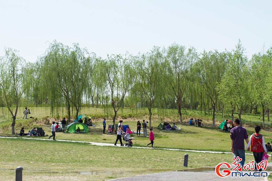 4月30日,游客在北京市大兴区南海子郊野公园休闲.