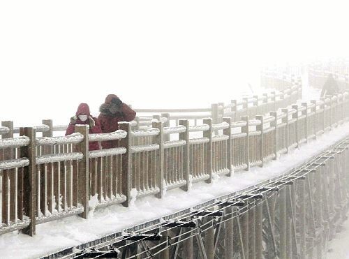 罕见!5月日本各地下雪 北海道冰天雪地(图)