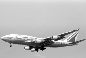 印度航空公司客机 （资料照片）