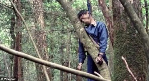 日本自杀森林超自然现象每年吸引众多轻生者