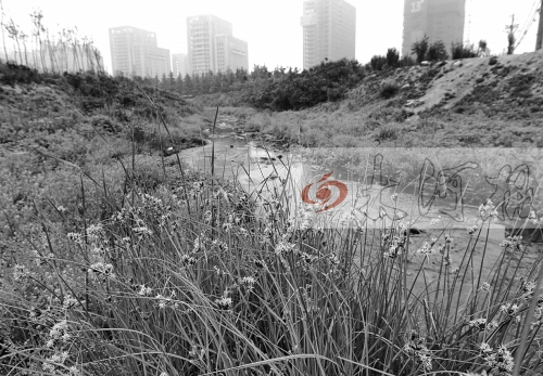 河南贾鲁河污染调查:清清的河水变得黑臭如墨