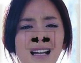 ݻӦվ