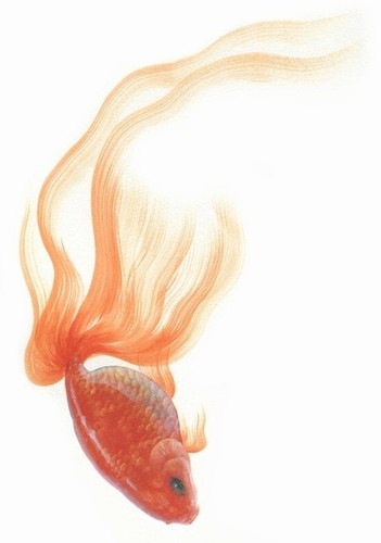  ۾(ͼ)