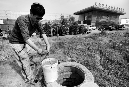 花卉大世界的花卉都快枯死了，大家只能用井水浇花
