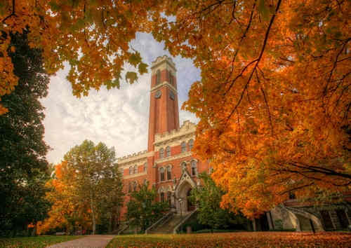 范德堡大学+vanderbilt