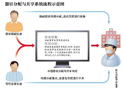 目前，我国每年约有30万人等待器官移植挽救生命，但每年仅有约1万人，可以获得器官并接受移植手术。在供求如此悬殊的情况下，每一例捐献器官的分配，都显得更为重要。