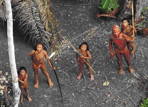 神秘亚马逊部落生存堪忧,外界疾病致半数死亡