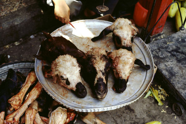 全球十大最恶心食物 蚂蚁幼虫活蛆乳酪上榜