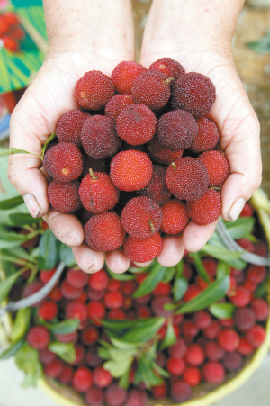 ÿ5¶Ǵӻ÷ڣڶοǰժ÷÷ǽйũӳ÷ڵȲοͽ٣һͮͮ÷ܿȥ