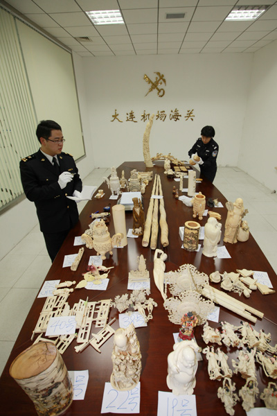 大连海关一起特大珍贵动物制品案(图)