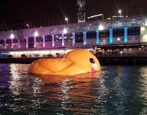 2013年5月14日晚，香港，“大黄鸭”倒在水中。