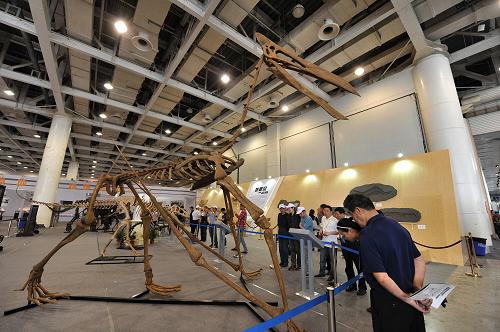 5月16日，观众在参观中国（长沙）国际矿物宝石博览会上展出的恐龙化石。新华社记者 龙弘涛 摄