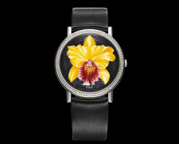  PIAGET Altiplano