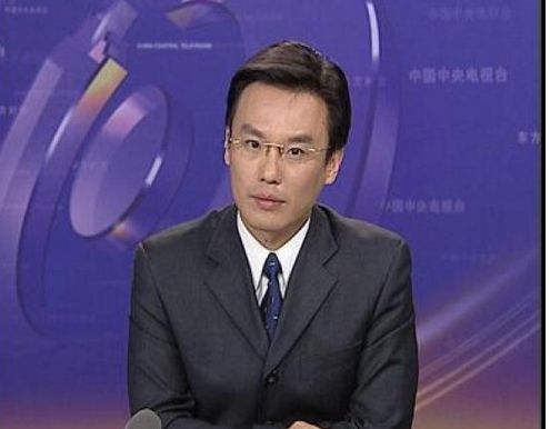 央视主持人张羽及明星陈好疑卷入刘铁男贪腐案