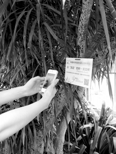 武汉植物园十大明星植物 手机扫扫二维码就能