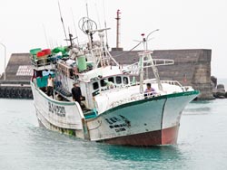 屏东县琉球籍渔船龙旺利97号，18日下午在风雨中，返抵小琉球大福渔港。台湾《中国时报》