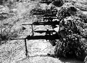 来自各大军区和军兵种的参训学员在烈日下进行精度射击训练。新华社发