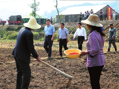 21日，习近平在芦山县青龙场村的农田察看玉米种植情况。新华社发登录手机应用平台，免费下载并使用“云拍”，拍摄图片观看视频。