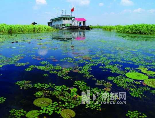 龙岗清林径湿地公园