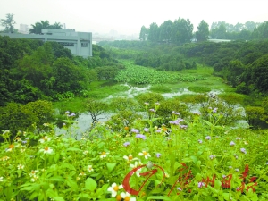 水库边建农家乐 涵管漏水响叮咚
