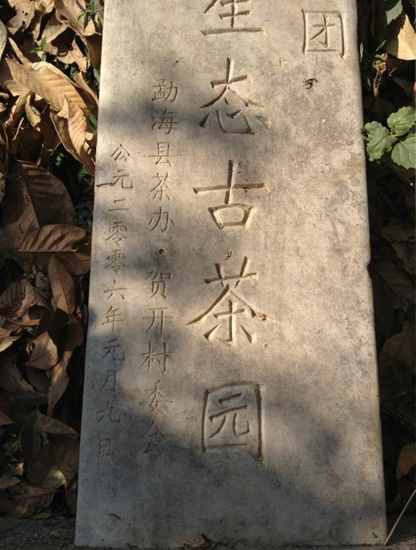  ӱʲ֮ն7