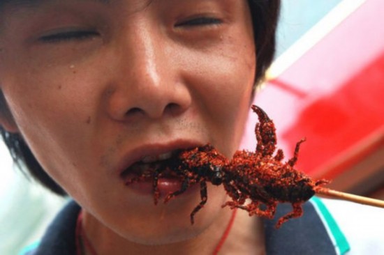 世界各地美味虫子小吃