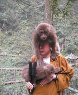 淘气猴子惹事多 游客亲密接触猴群有禁忌
