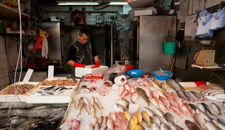 温州菜市场的海鲜都是去哪里批发的