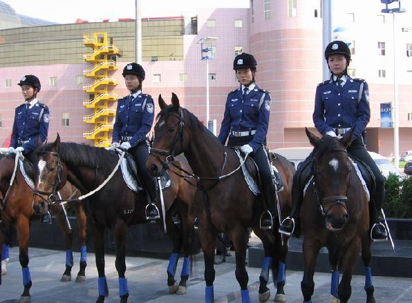 大连女骑警浪费公款 退休警察称其担当表演职能