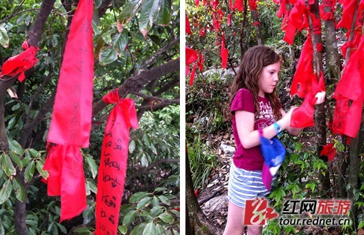 天门山“红树林”里也常常有外国游客留下笔迹。
