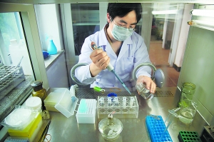 在阮文科副教授的实验室里,5个枕芯样品正在进行细菌培养实验