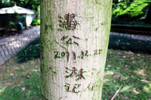 近日,游客在景区乱刻乱画触动国人敏感的神经