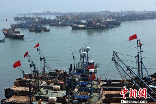 6月1日12时起，中国黄渤海区为期3个月的伏季休渔期开始，烟台、威海两市共2万艘渔船归港休渔。中新社发 王心 摄