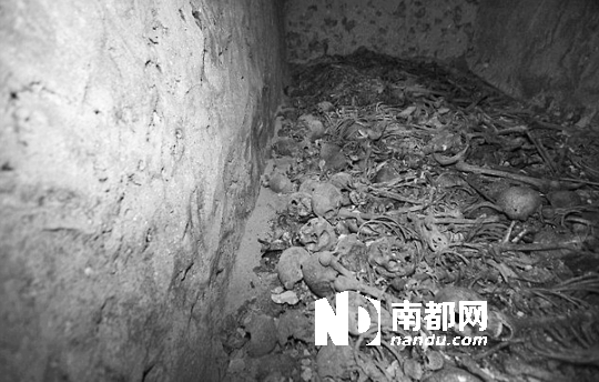 以色列现群尸墓(图)-搜狐滚动