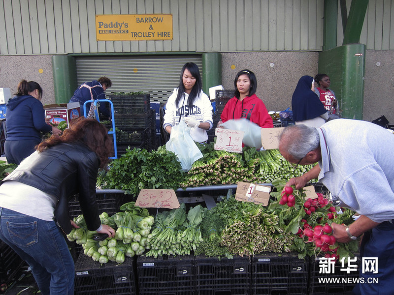 本网独家:悉尼蔬果批发市场上的菜(组图)