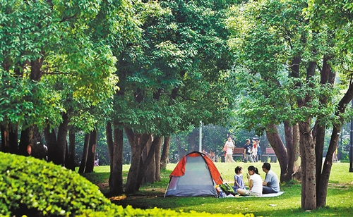 6月2日,江北嘴中央公园,市民在草坪上享受初夏