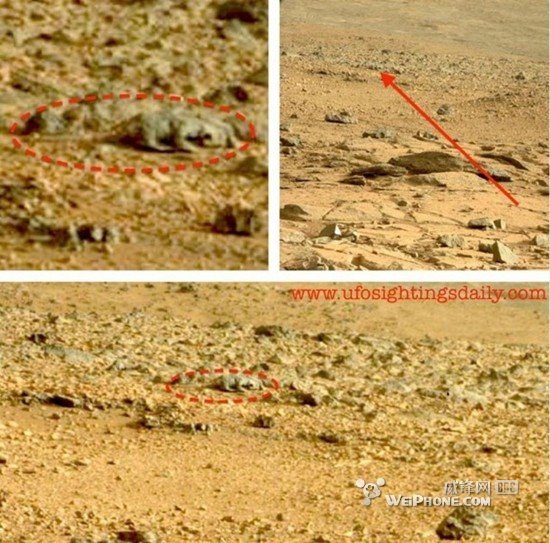 NASA火星照引热议 发现疑似蜥蜴外星生物(图)